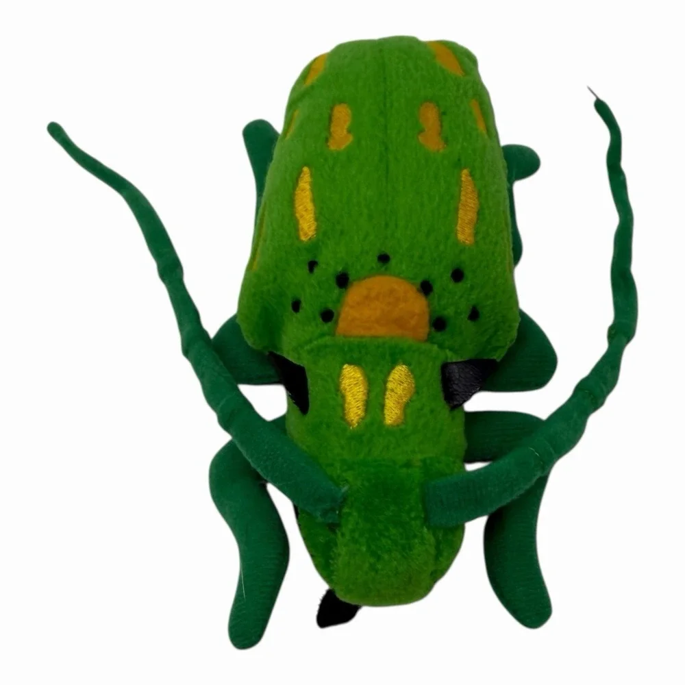 Beetle‎ Insects 5